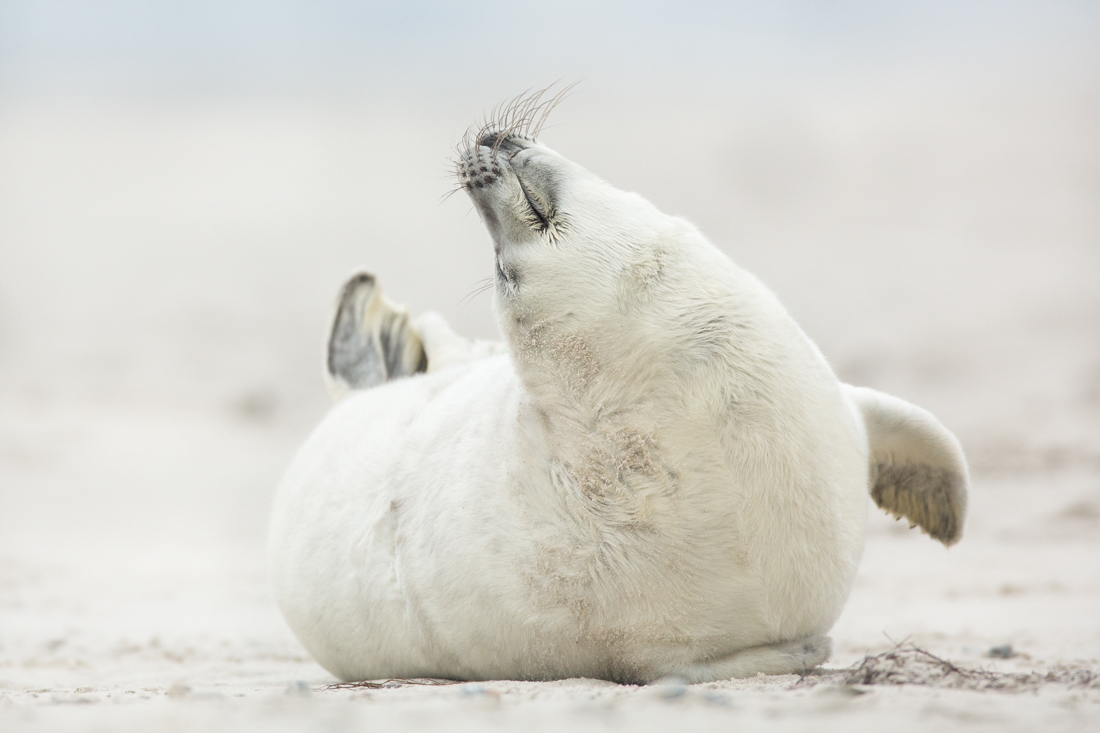 - Stretching -