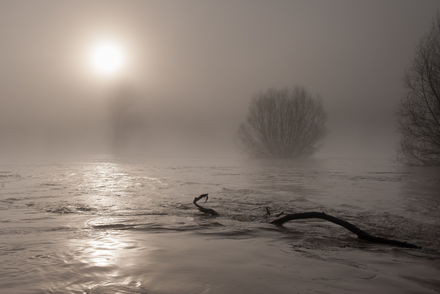 Hochwasser an der Donau