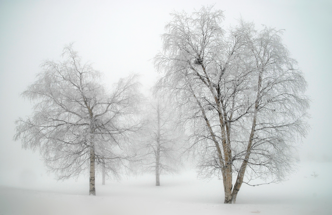 Ganz in Weiss