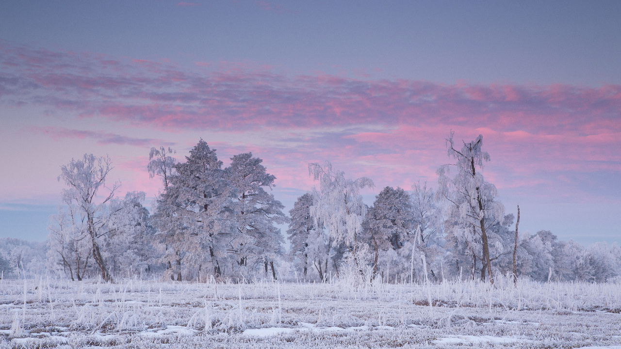 Wintermorgen