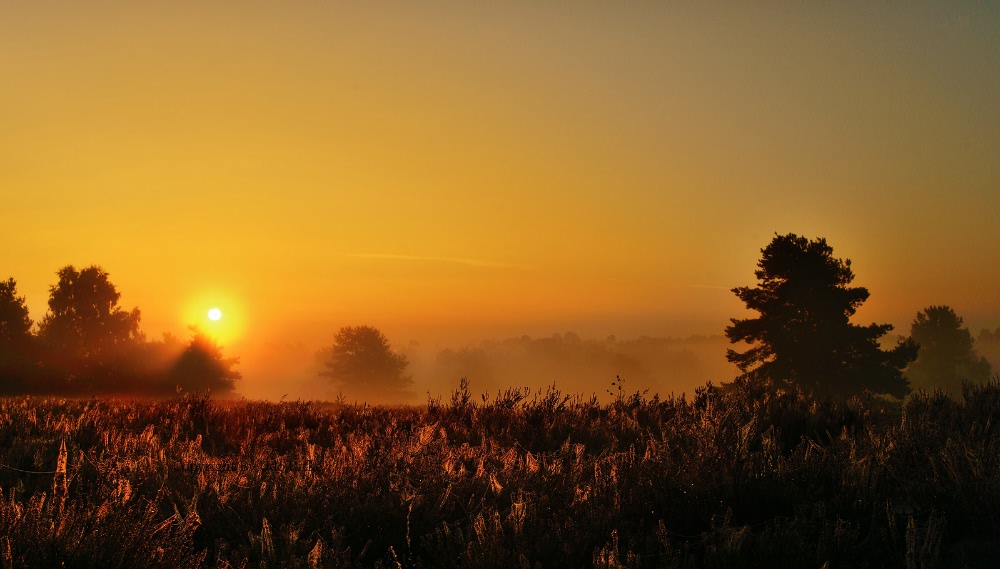 Herbstmorgen