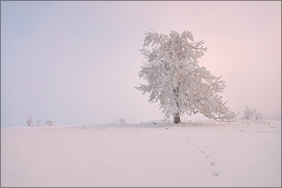 Eisiger Wintermorgen