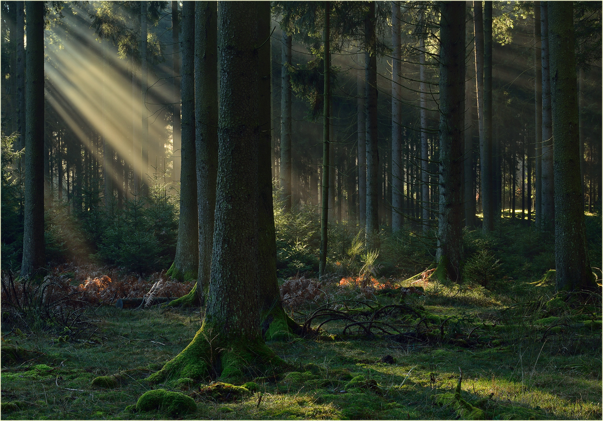 Sanftes Seitenlicht