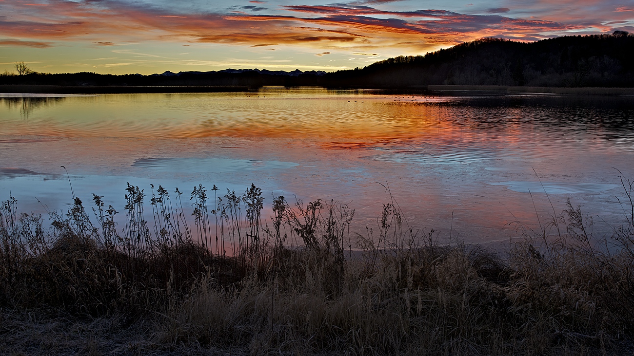 Morgens am See