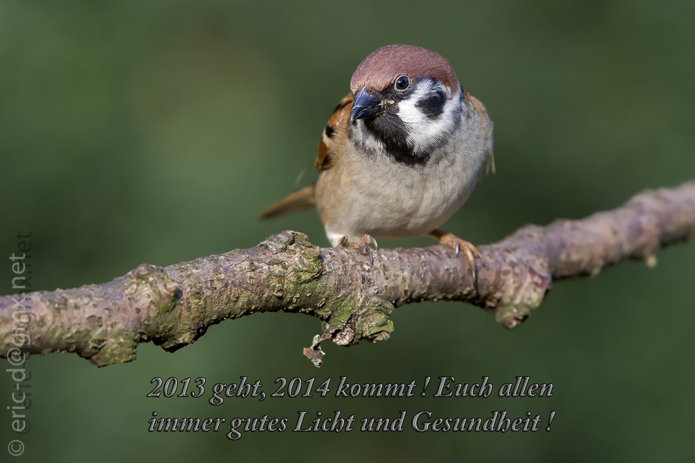 Bleibt Gesund und viel Erfolg in 2014 !!!