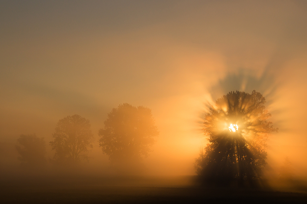 Herbstnebel