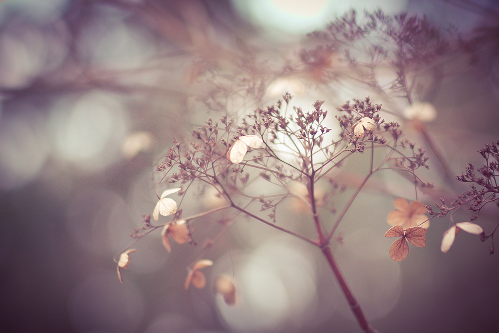 Wintertraum