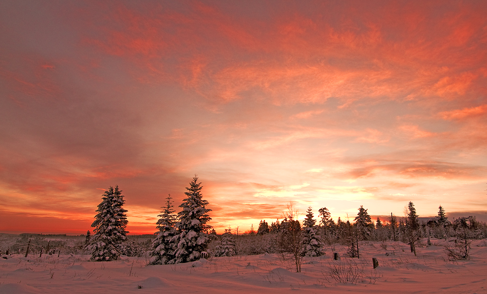 Schlifkopf Schwarzwald