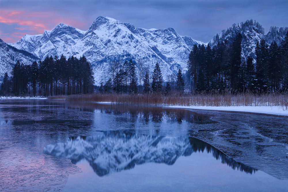 Almsee (Forum für Naturfotografen)