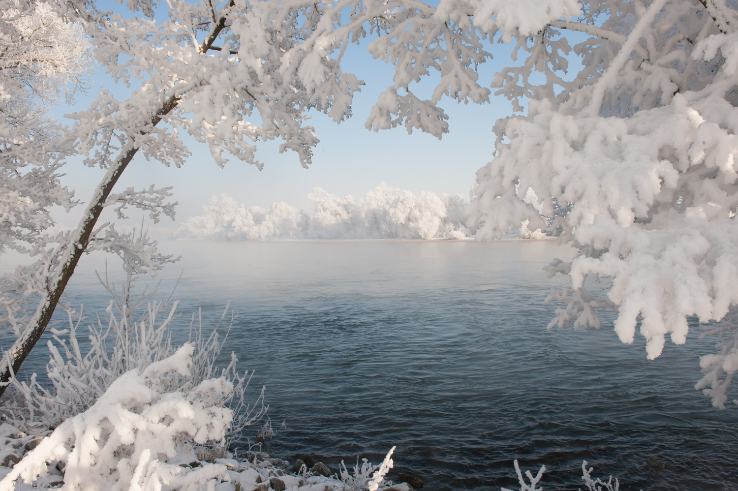 Wintertraum an der Donau