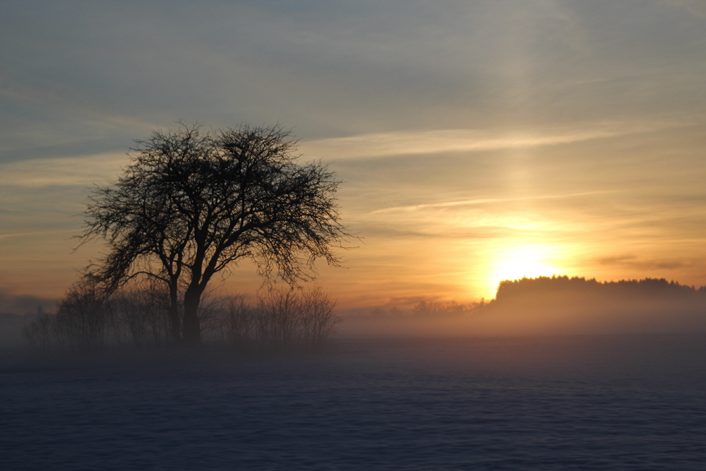 Nebel / Licht Stimmung zum Sonnenuntergang