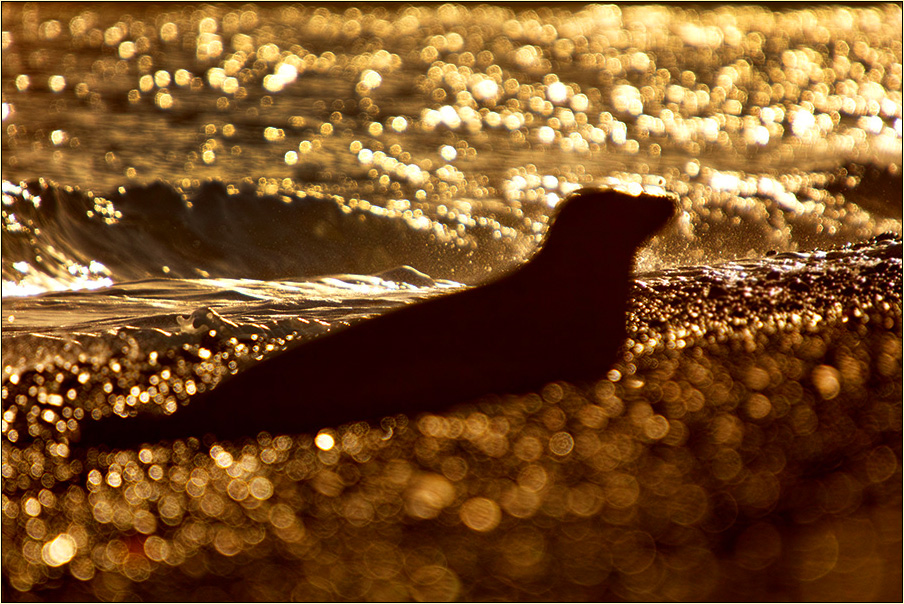 Im Lichtermeer