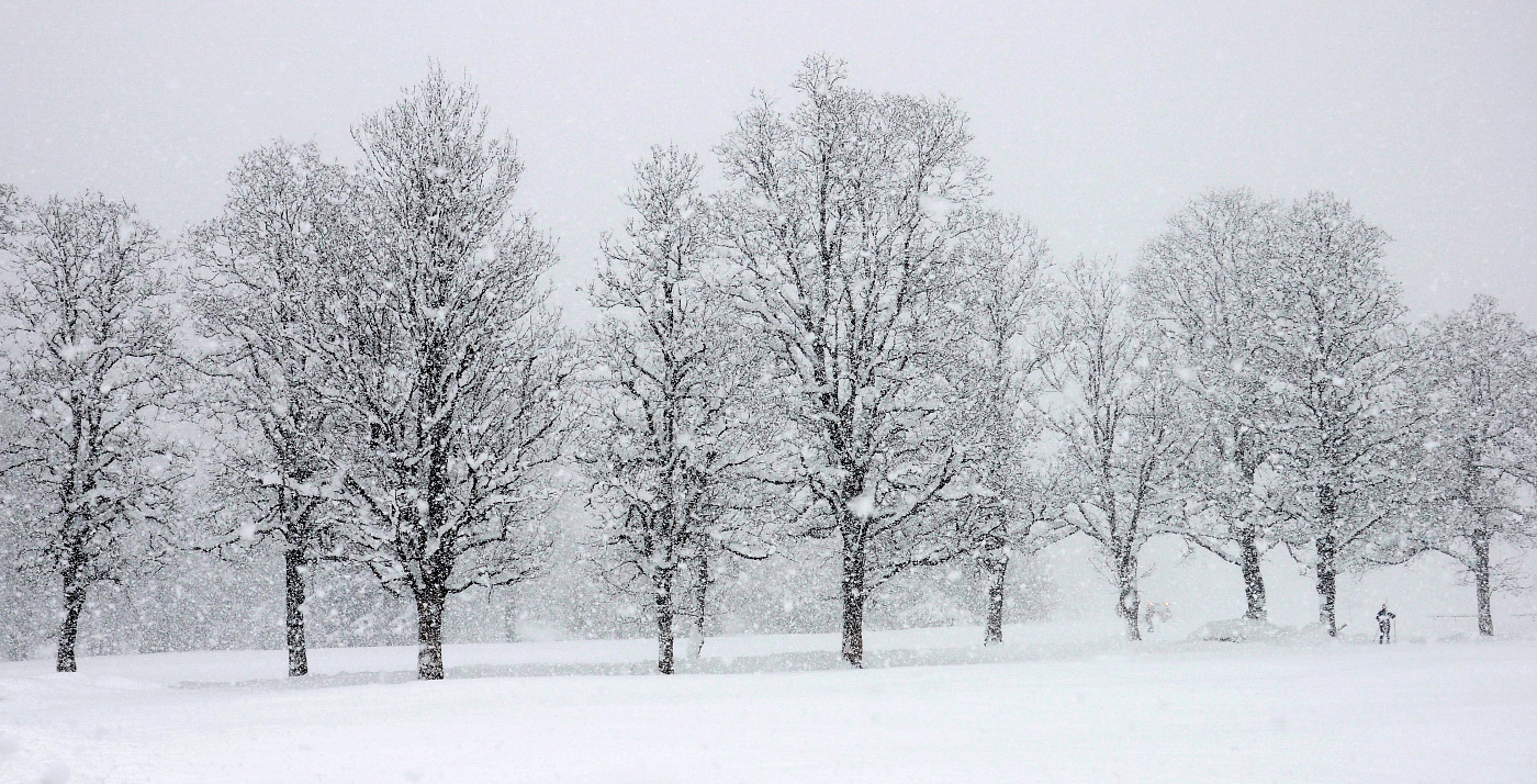 Schnee-Allee