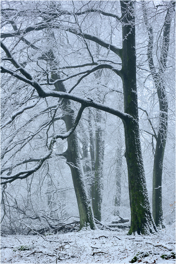 Vulkaneifel - HEUTE!