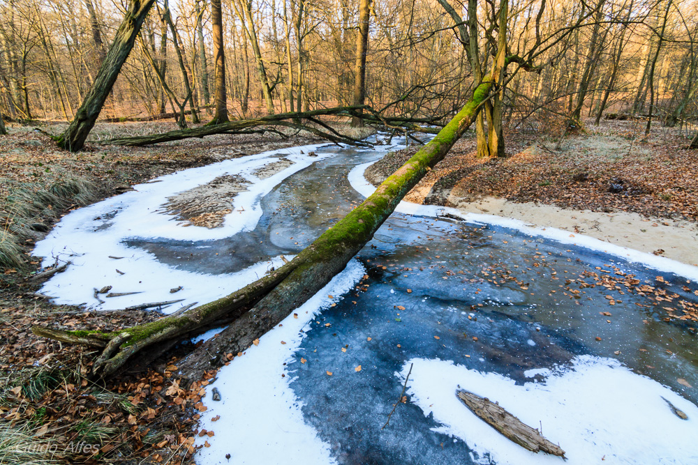 Rotbach zu Blaubach