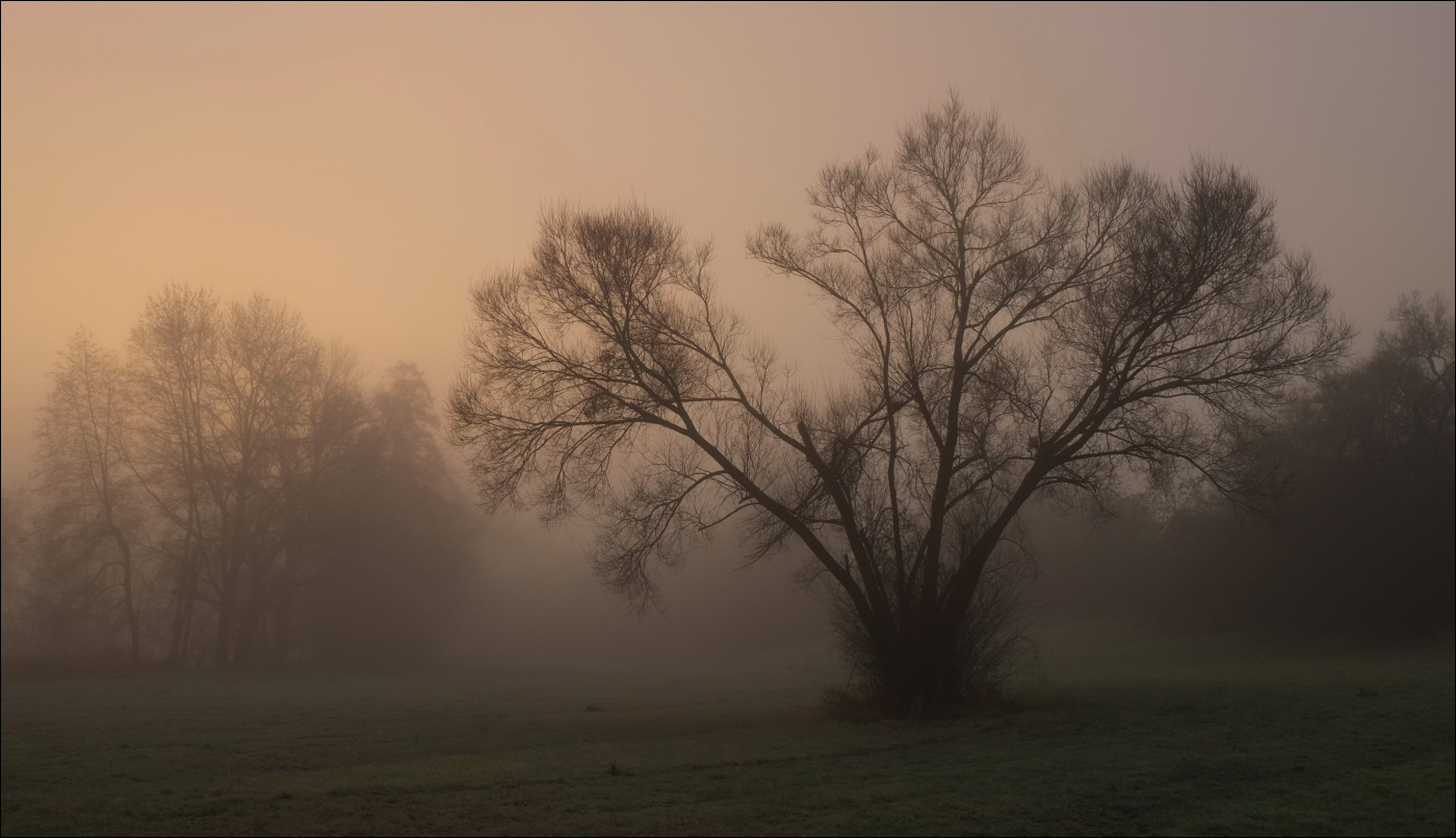 Früher Morgen