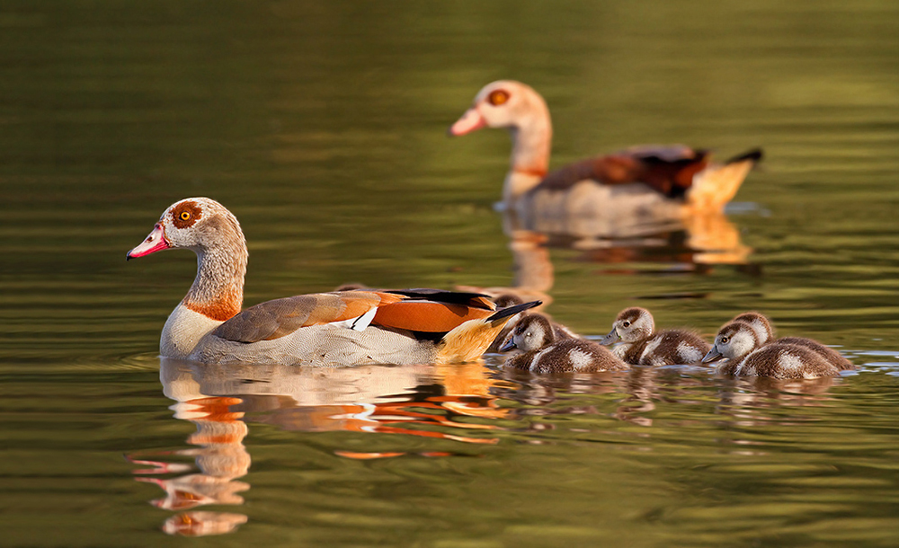 Familienausflug