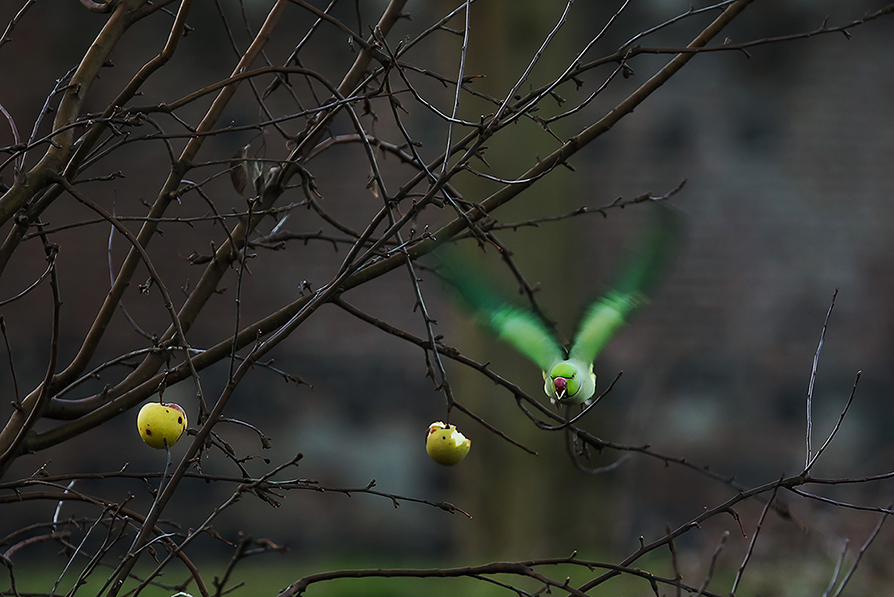 abflug