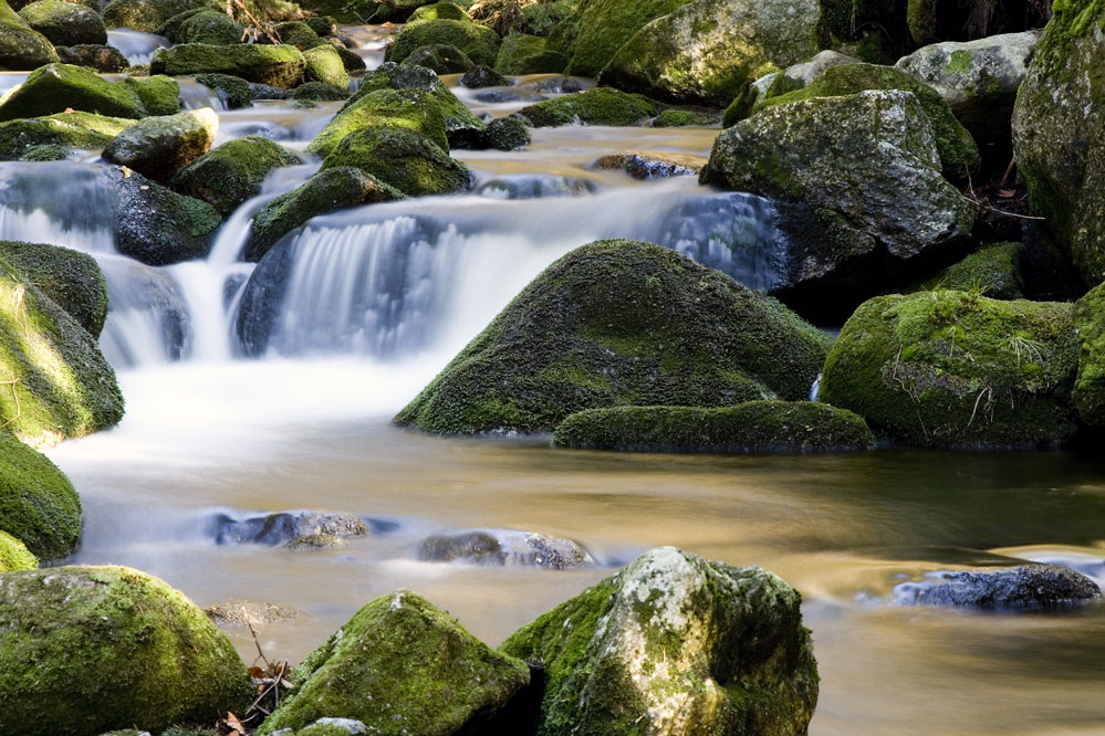 Auschnitt aus der Steinklamm