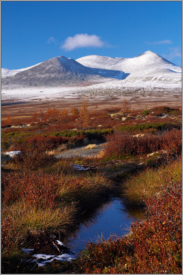 Rondane II