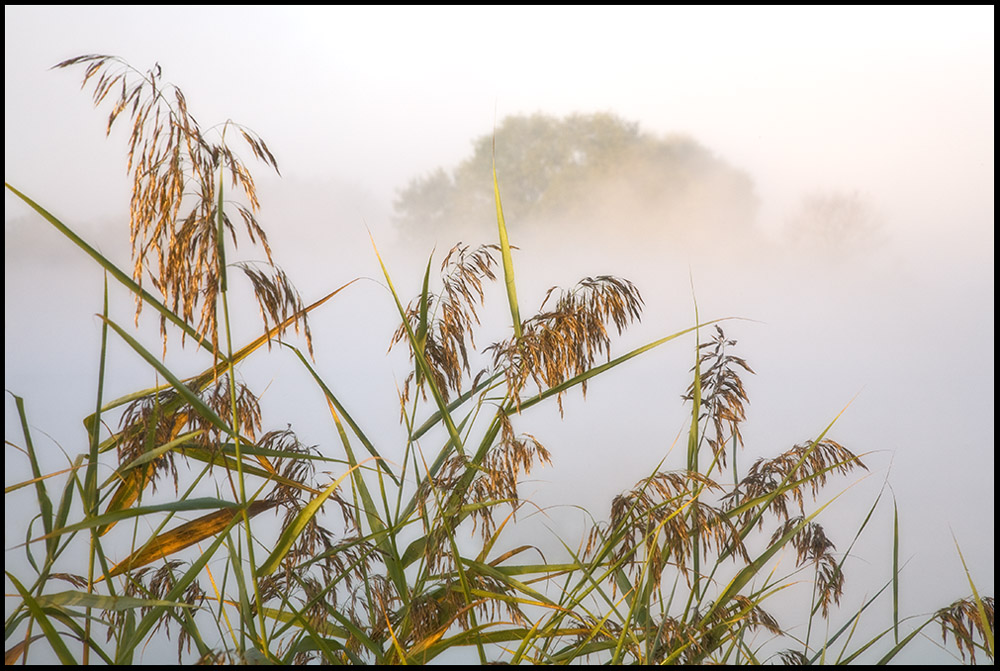 Herbstnebel