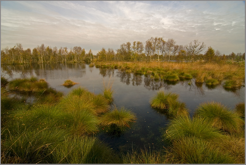 Herbst im Moor