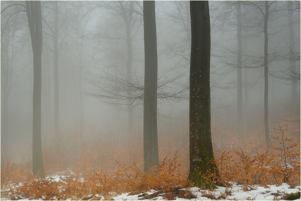 Ein bisschen Winter ...