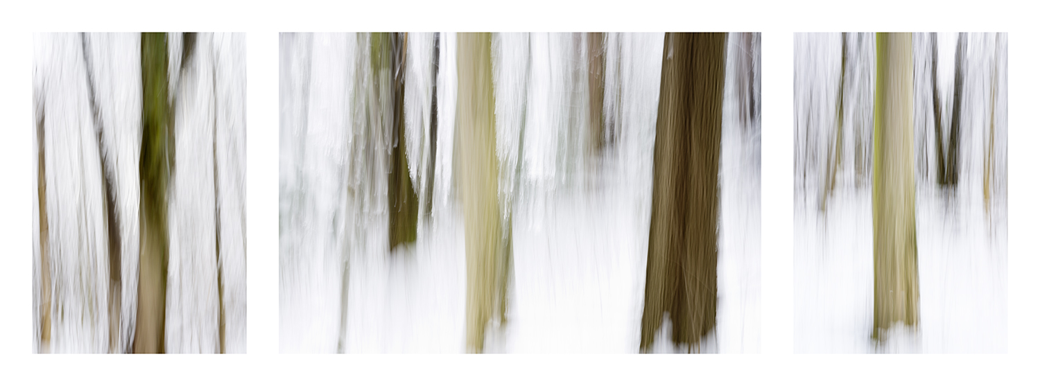 Winterwald Triptychon