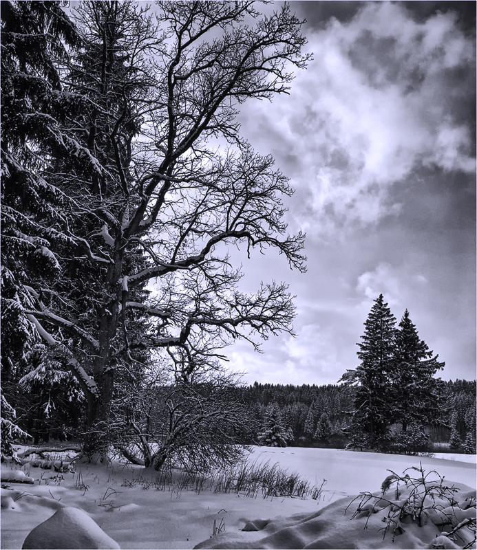 Winter ...
