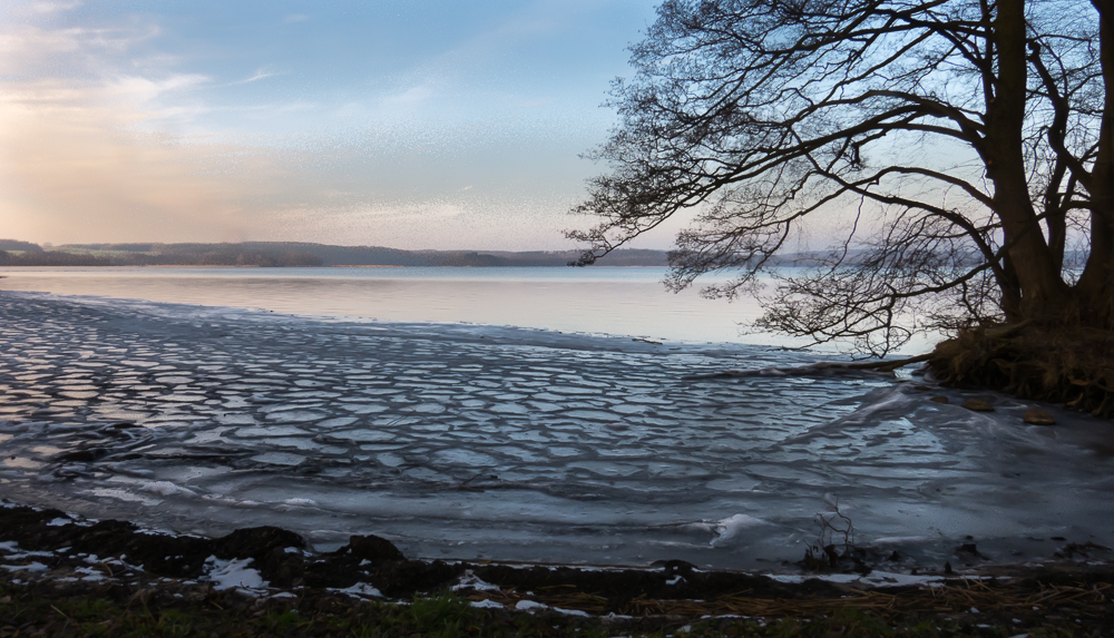 Seeufer Tollensesee