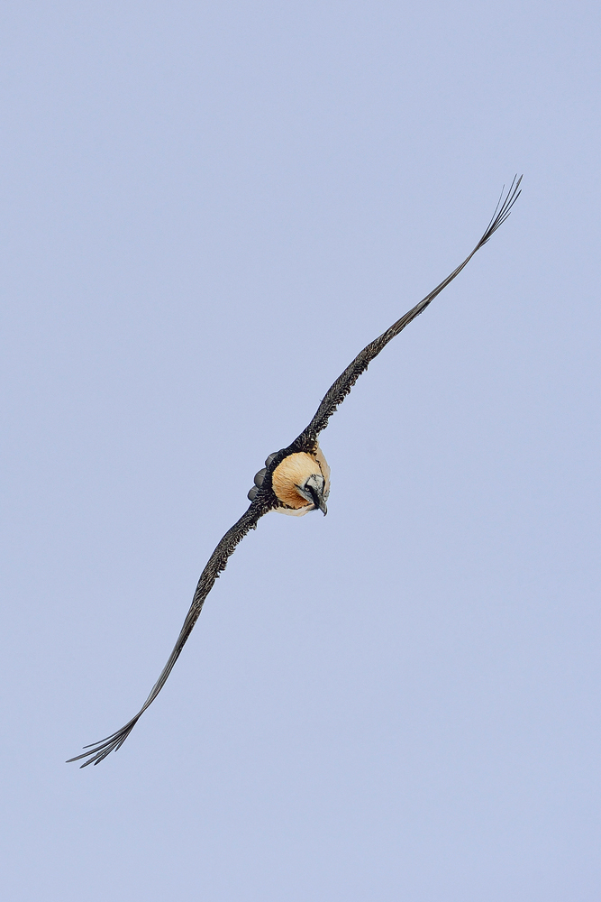 Aerodynamisch