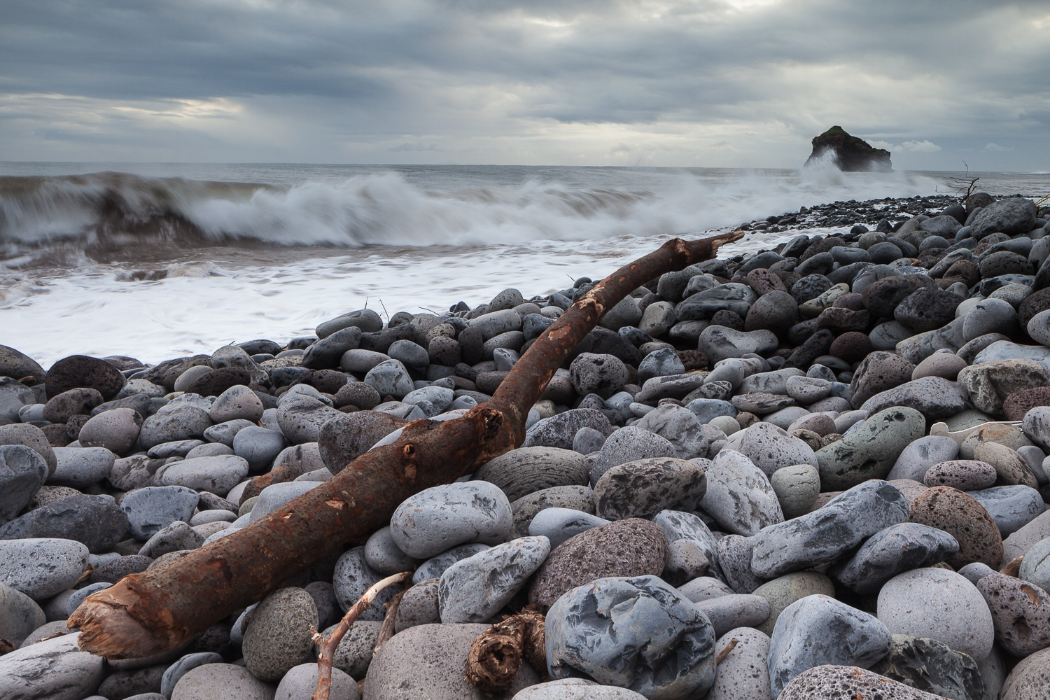 Ast am Strand