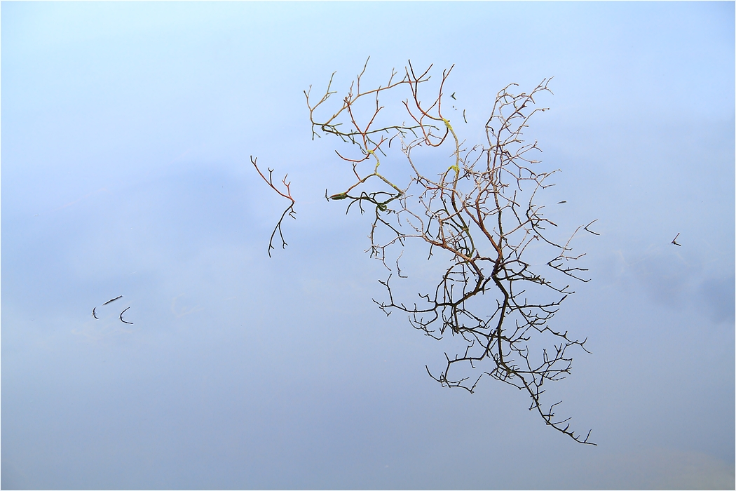 Spiegelung am See