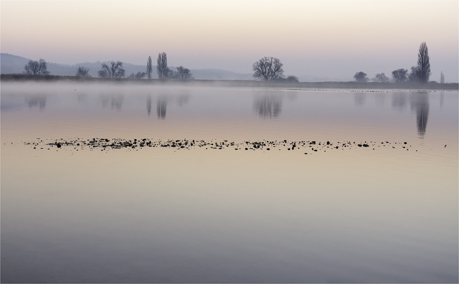 Frühnebel ...