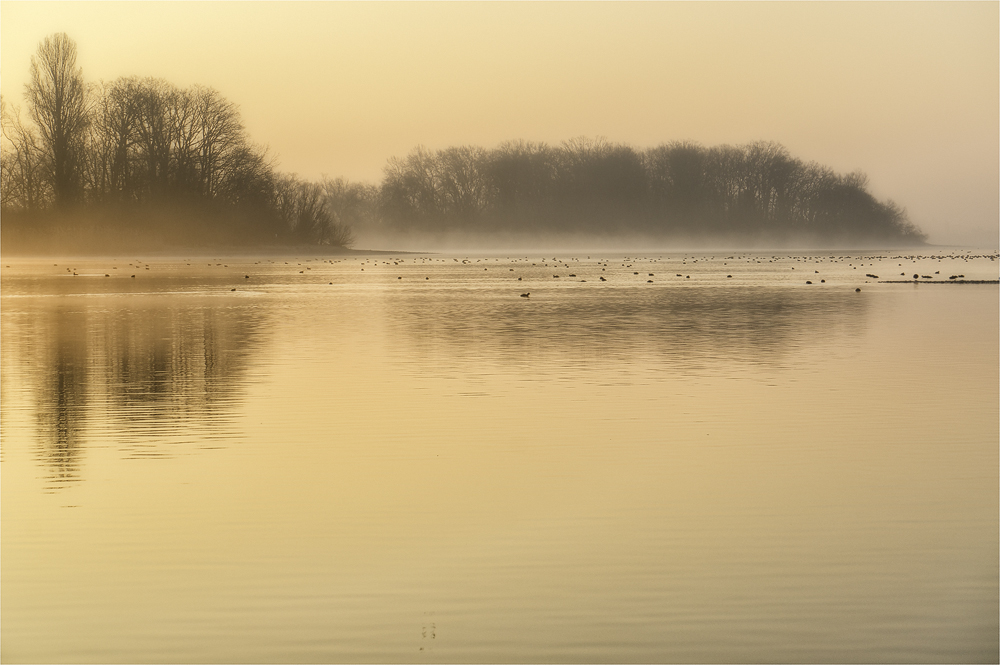 Im Licht der aufgehenden Sonne ...
