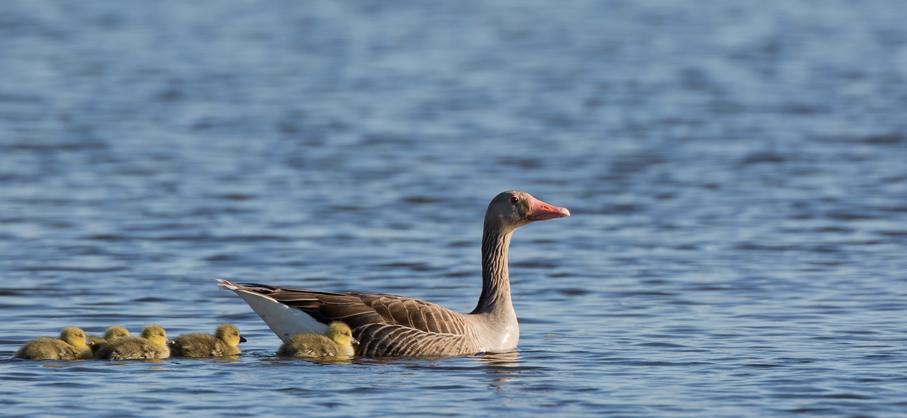 Familienausflug