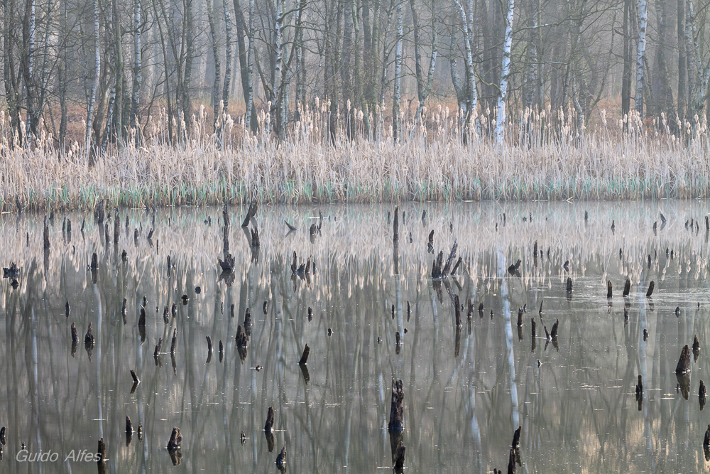 Impression Senkungssee