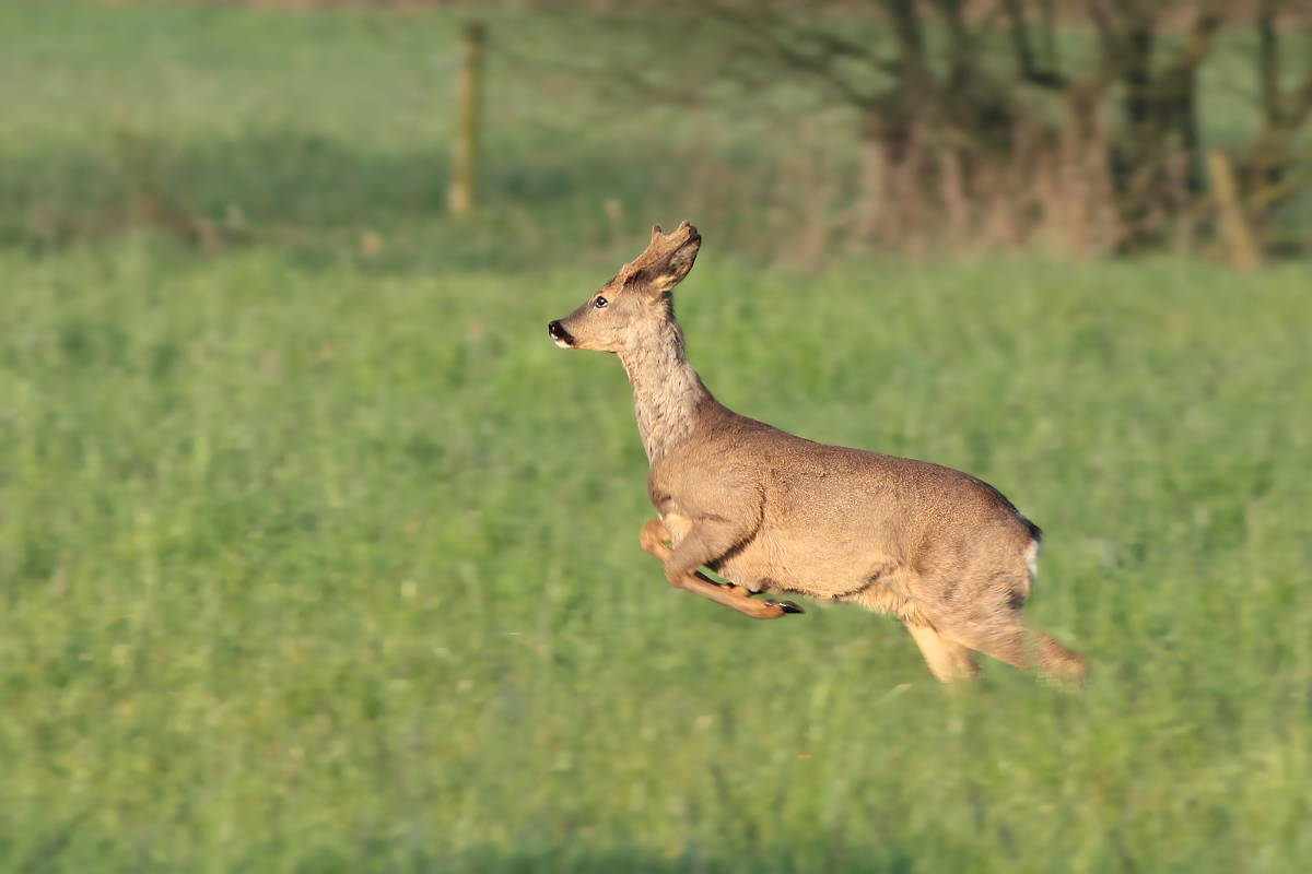 Ab in den Frühling!