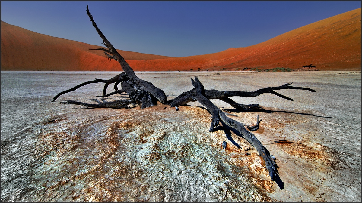 DeadVlei