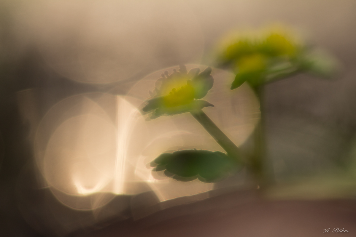 Illusionen...