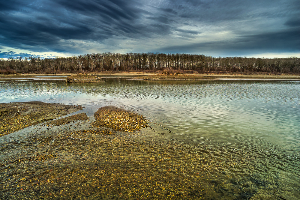 Donaualtarm (Forum für Naturfotografen)