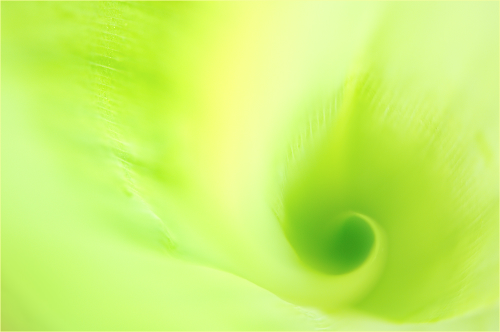 ~~ green-wave ~~ 2