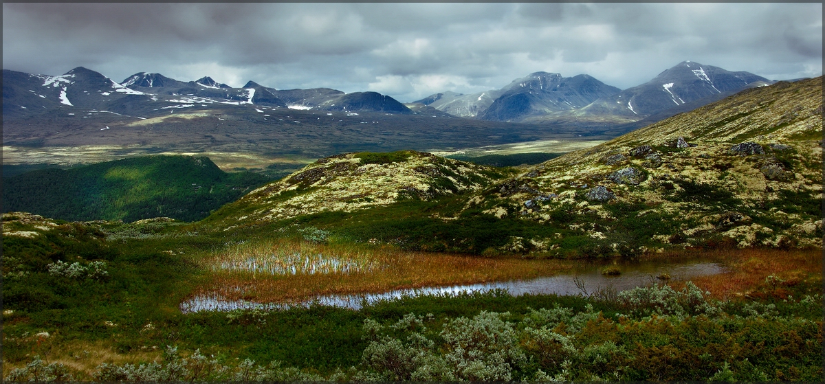 Rondane