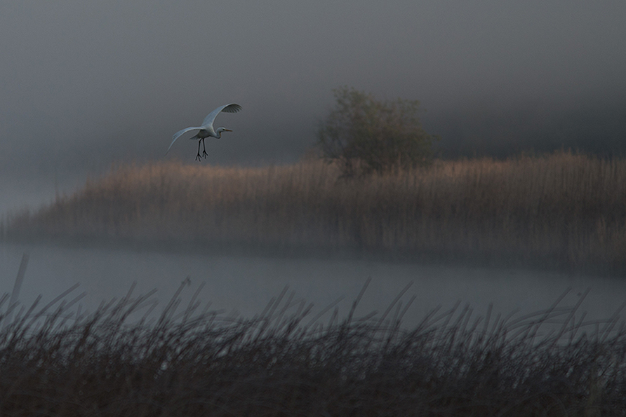 der Anflug