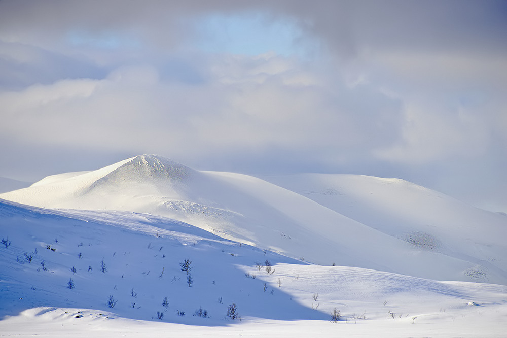 Lapplands wilde weiße Weite