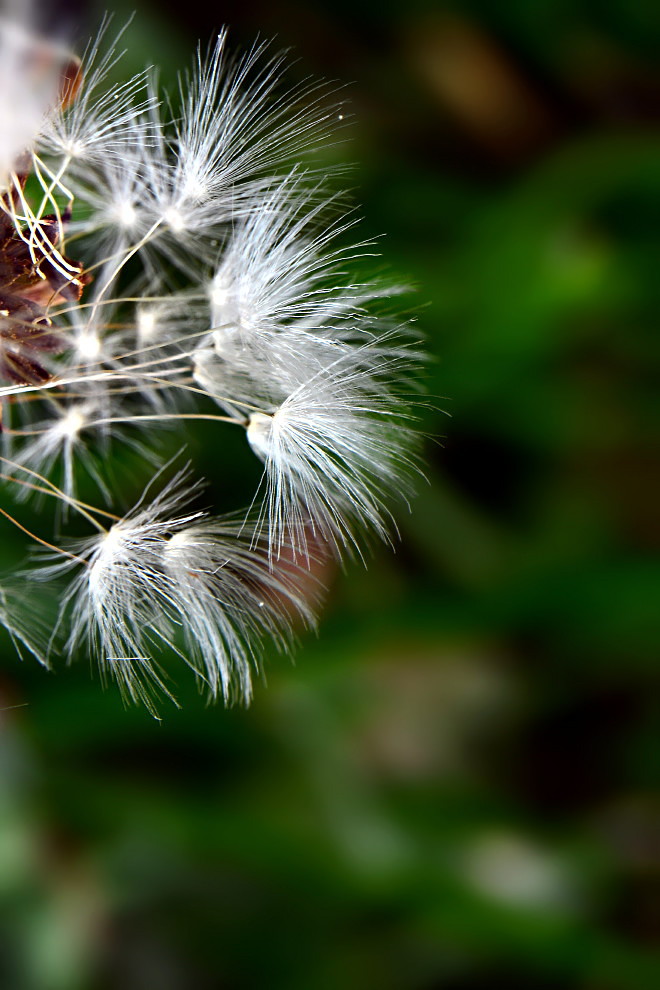 bereit zum Abflug