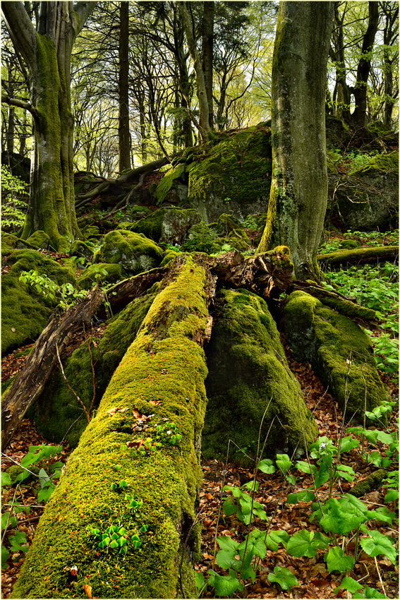 Ernstberg