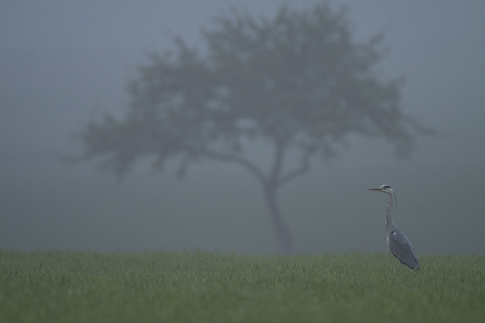 Ein trister Aprilmorgen