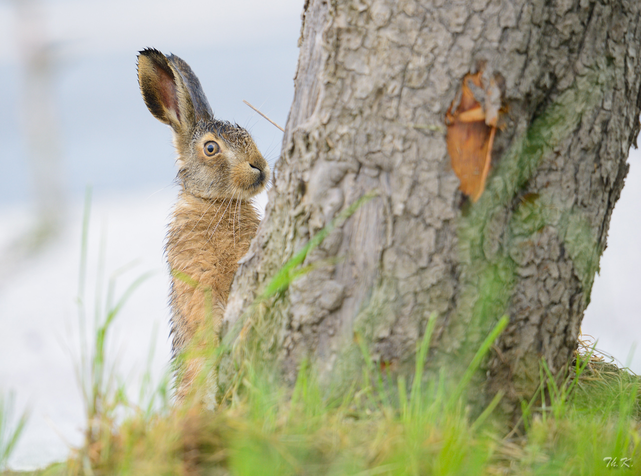 Echt, ist Ostern schon vorbei?