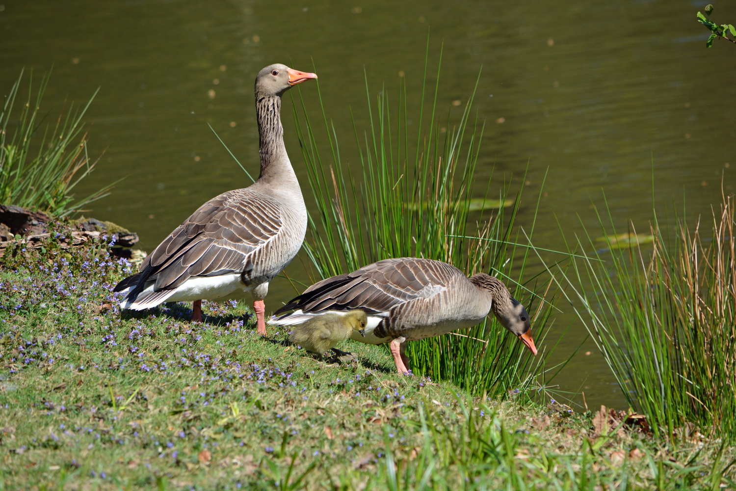 Familienausflug